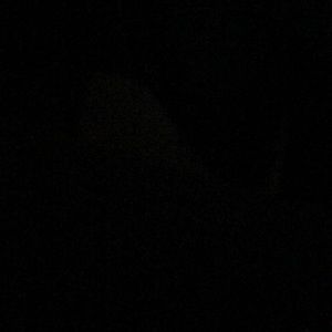 Meet your Posher, Ines